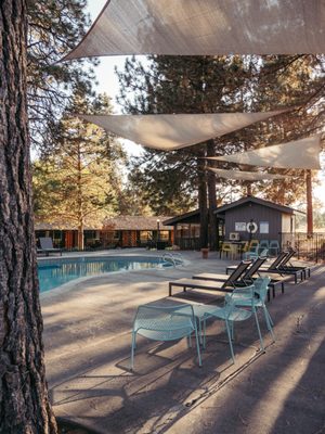 LOGE Bend by null