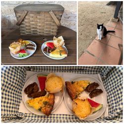 Hoffman Haus - Complimentary Breakfast delivered daily at 9 am // Hoffman Haus Cat