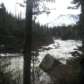 Packer Expeditions - Amazing views - Tours Near Me - Skagway, Alaska Packer Expeditions - Amazing views - Tours Near Me - Skagway, Alaska