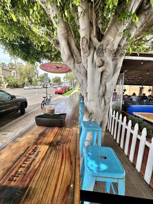 Fig Tree Cafe by null