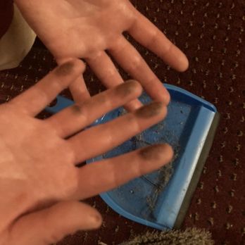Green Valley Motel - Dirt on my hands from cleaning this room that owners/staff/housekeeping obviously never did. - Hotels Near Me - Marlboro, New York Green Valley Motel - Dirt on my hands from cleaning this room that owners/staff/housekeeping obviously never did. - Hotels Near Me - Marlboro, New York