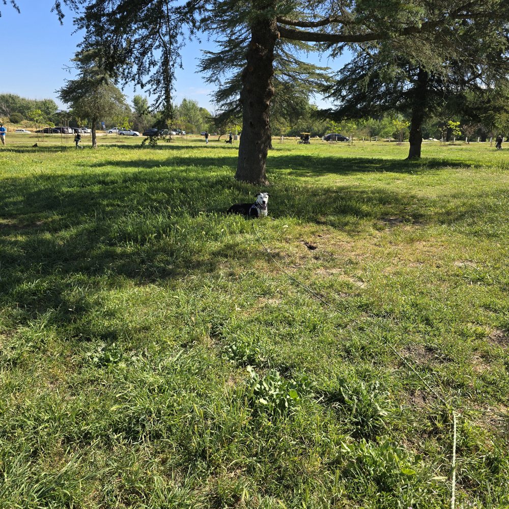 CANIS - Behavior and Training - Nature Dog Class - Pet Training Near Me - Tarzana, California