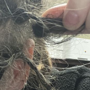 Lockerbie Locks - Large knot that Lisa created when "fixing" stray hairs - Hair Extensions Near Me - Indianapolis, Indiana