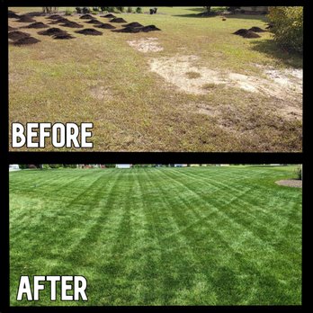 Pioneer Landscaping - before and after lawn mowing - Landscaping Near Me Pioneer Landscaping - before and after lawn mowing - Landscaping Near Me