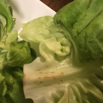 Star Noodle - Brown lettuce - Asian Fusion Near Me - Lahaina, Hawaii Star Noodle - Brown lettuce - Asian Fusion Near Me - Lahaina, Hawaii