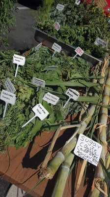 Galleria @ Tyler Farmers Market by null