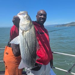 Amethyst Fishing Charters
