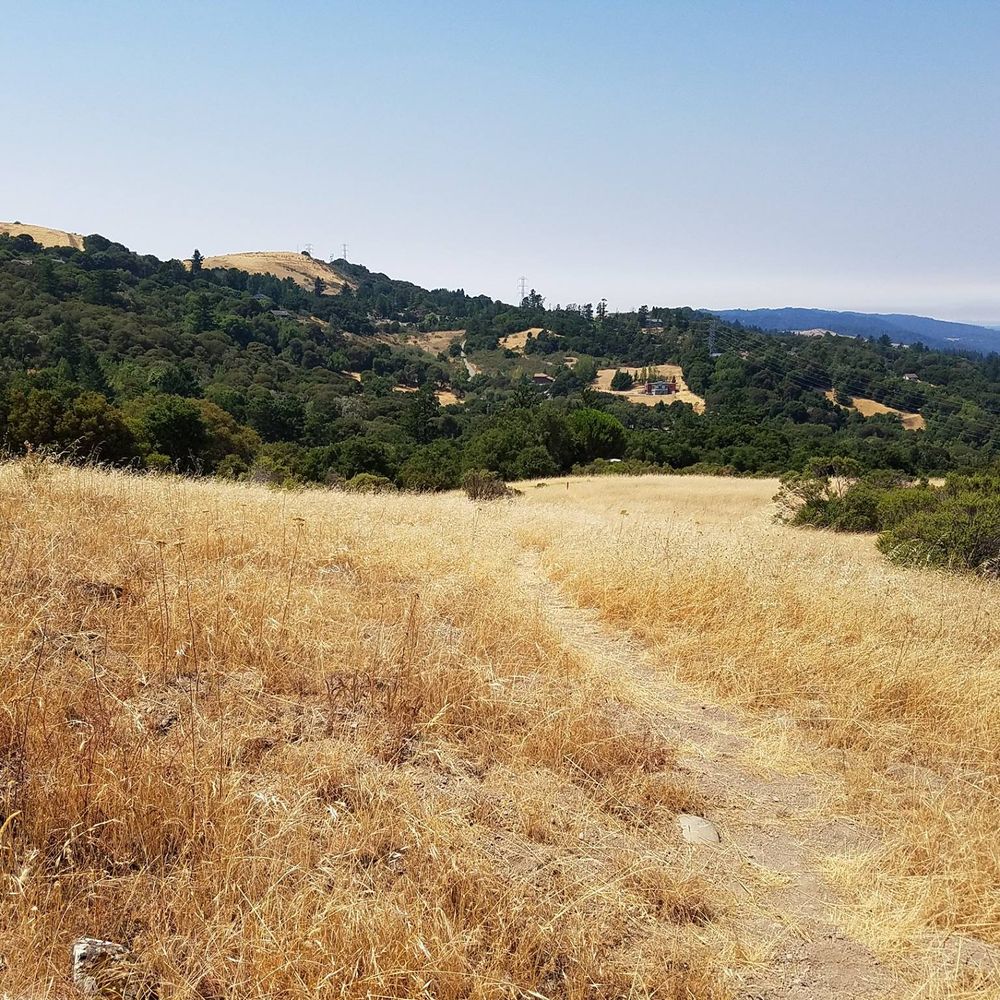 Coal Creek Open Space Preserve - Clouds Rest trail, on top of the mount - Parks Near Me - San Mateo, California Coal Creek Open Space Preserve - Clouds Rest trail, on top of the mount - Parks Near Me - San Mateo, California