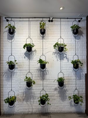 CRAFT Coconut Grove by null