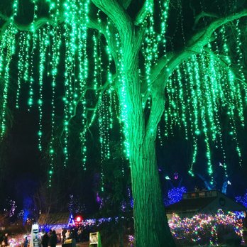Denver Zoo Lights - Festivals Near Me - Denver, Colorado Denver Zoo Lights - Festivals Near Me - Denver, Colorado
