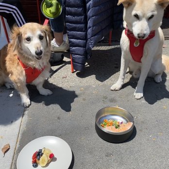 SPRO Coffee Lab - Doggie meals! Herbivore on left, Omnivore on right - Coffee & Tea Near Me - San Francisco, California SPRO Coffee Lab - Doggie meals! Herbivore on left, Omnivore on right - Coffee & Tea Near Me - San Francisco, California