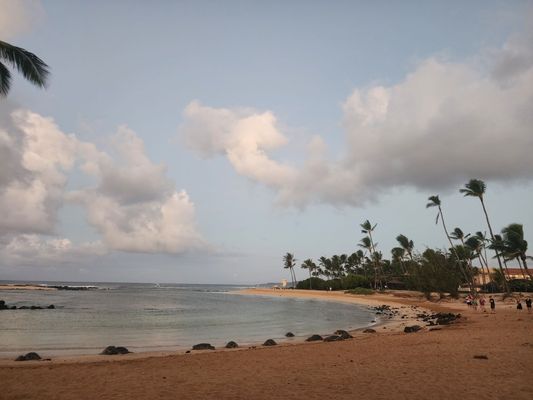 Poipu Beach Park by null