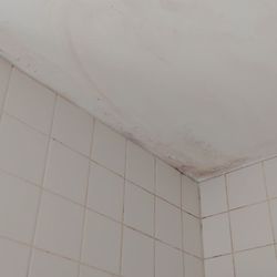 King Phillip Motel - Mold on ceiling