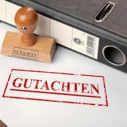 Psychologische Gutachten Oliver Maurus