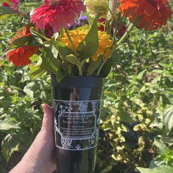 Chickapoo Farm - My bouquet and tips for keeping flowers longer - Flowers & Gifts Near Me - Shelbyville, Kentucky Chickapoo Farm - My bouquet and tips for keeping flowers longer - Flowers & Gifts Near Me - Shelbyville, Kentucky