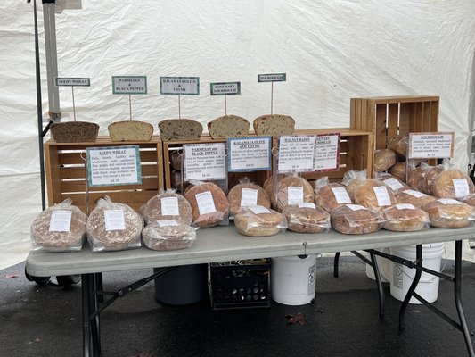 Hillcrest Farmers Market by null