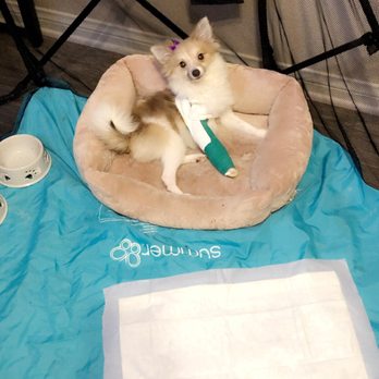 Boulevard Animal Hospital - Veterinarians Near Me - Long Beach, California Boulevard Animal Hospital - Veterinarians Near Me - Long Beach, California