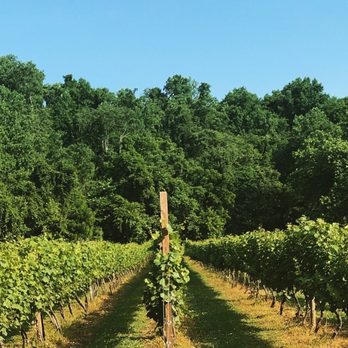 Orchard House Bed and Breakfast - Vineyard - Bed & Breakfast Near Me - Lovingston, Virginia Orchard House Bed and Breakfast - Vineyard - Bed & Breakfast Near Me - Lovingston, Virginia