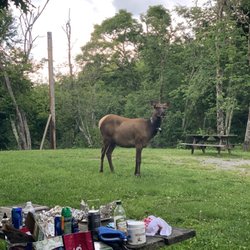Mile High Campground