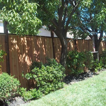 C Lopez Yard Maintenance - During - Landscaping Near Me - Santa Rosa, California