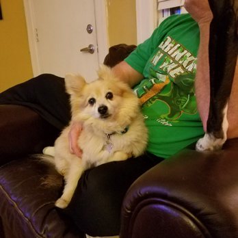 Fetch Pet Care Royal Oak - Birmingham - Dog Walkers Near Me Fetch Pet Care Royal Oak - Birmingham - Dog Walkers Near Me