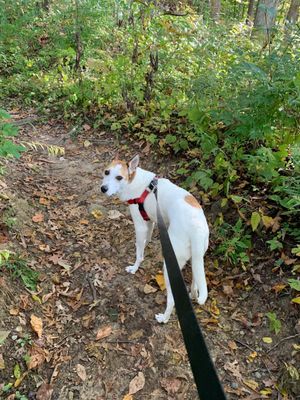 Bird Hills Nature Area by null