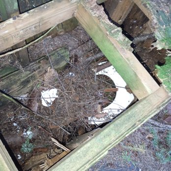 Pine & Cedar Lakes Trail - A very sketchy pit toilet at Pine Lake that hasn't gotten much love since 1969 by the looks of it. - Hiking Near Me - Bellingham, Washington