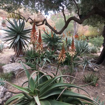 Boyce Thompson Arboretum - Botanical Gardens Near Me - Superior, Arizona Boyce Thompson Arboretum - Botanical Gardens Near Me - Superior, Arizona
