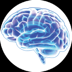 Hearing And Brain Centers - HBCA Temple TX Logo