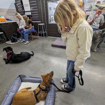 PetSmart Dog Training - Training class - Pet Stores Near Me - Menifee, California