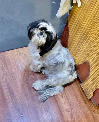 Portofino Wine Bank by null