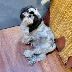 Portofino Wine Bank - Our greeter!