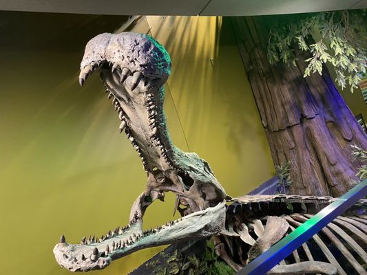 The Children's Museum of Indianapolis by null