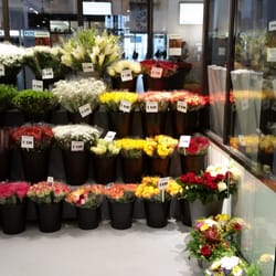Blumen Grün Punkt