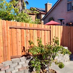 Best Wood Fences