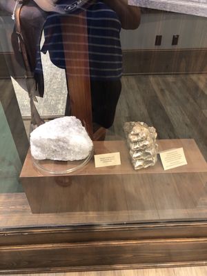 TABASCO Factory Tours by null