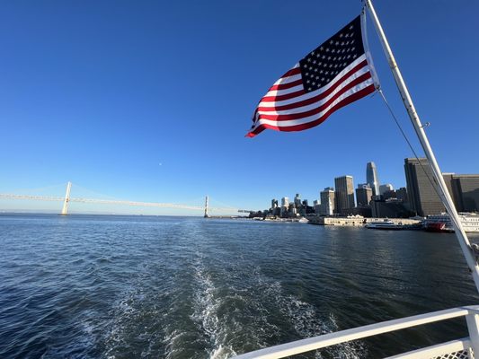 City Cruises by null