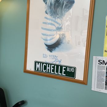 Dog's Best Friend - Michelle's HQ! - Pet Groomers Near Me - North Miami, Florida