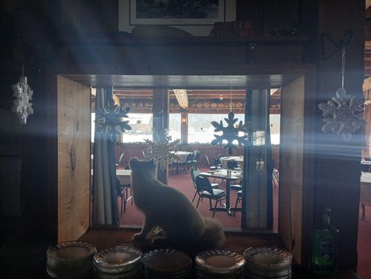 The Barn Restaurant by null