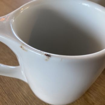 Caffeine Roasters - The Zika mosquito that I killed - Coffee Roasteries Near Me - Tampa, Florida