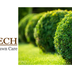Arbortech Lawn & Tree Care - Weed Free Lawn