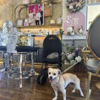 T&5 Cafe Bakery - The shop decoration - Bakeries Near Me - Folsom, California T&5 Cafe Bakery - The shop decoration - Bakeries Near Me - Folsom, California
