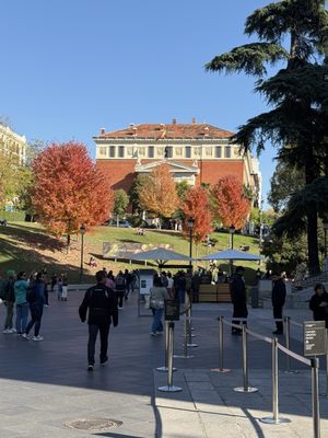 Great Pond of El Retiro by null