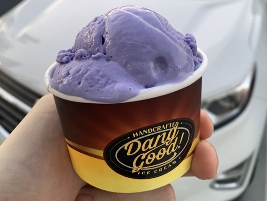 Dang Good Ice Cream by null