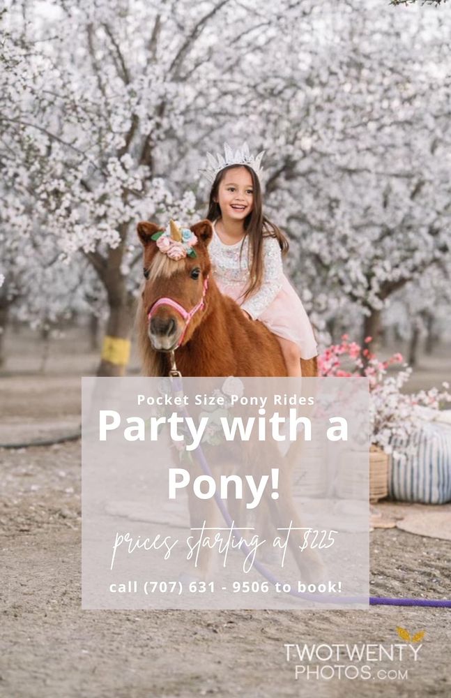 Pocket size pony rides