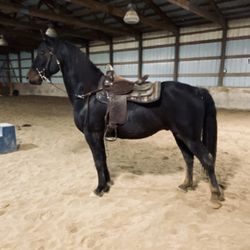 Two Hearts Equestrian Center