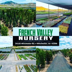 French Valley Nursery