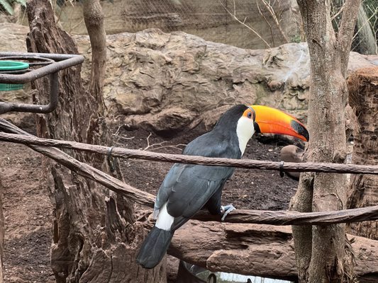 The Dallas World Aquarium by null