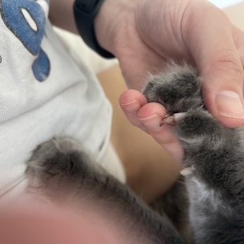California Grooming - Pet Groomers Near Me - Culver City, California