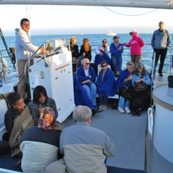 Double Dolphin Cruises
